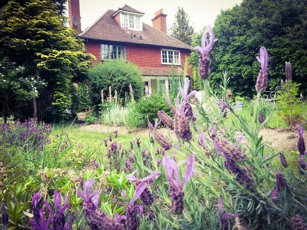 Rosemead Guest House Claygate Exterior photo